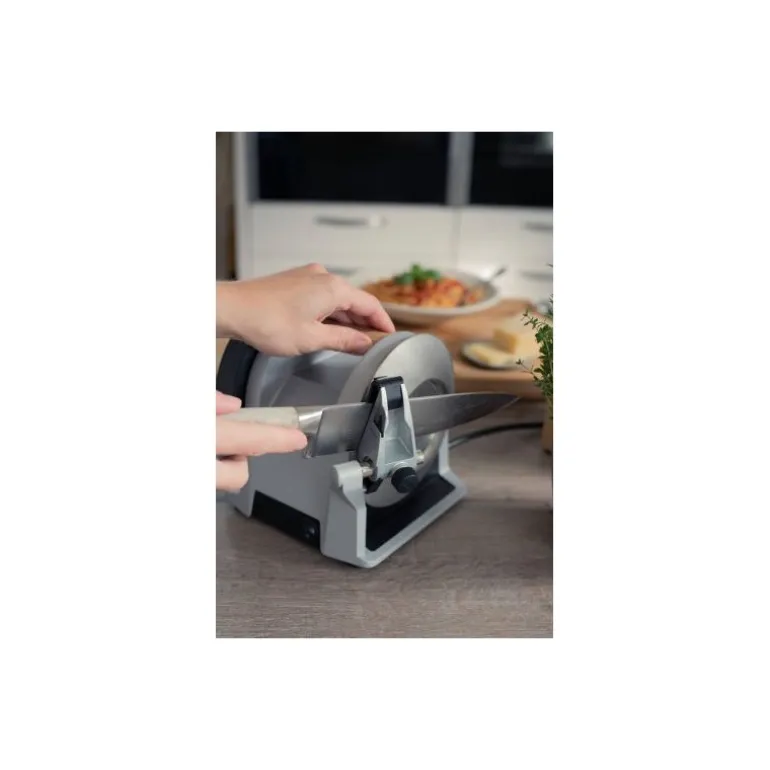 Affûteuse Tormek T-1 argent