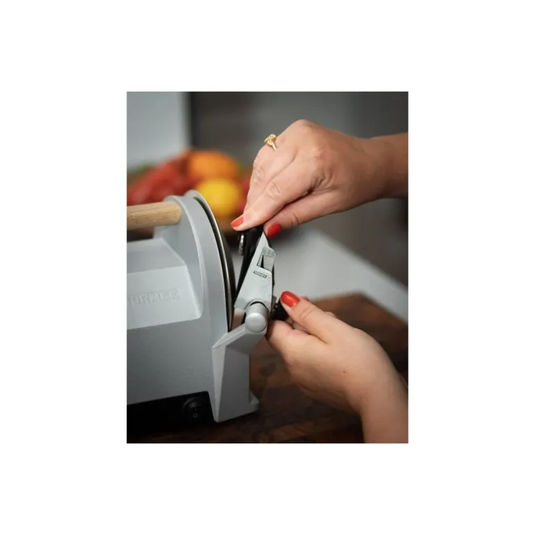 Affûteuse Tormek T-1 argent
