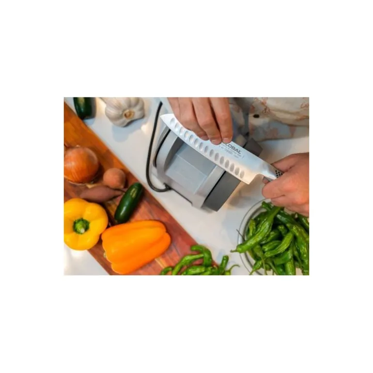Affûteuse Tormek T-1 argent