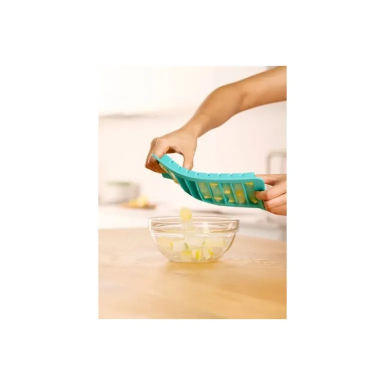 Bac à bâtonnets glacés avec couvercle