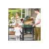Barbecue Kamado Big Green Egg Large