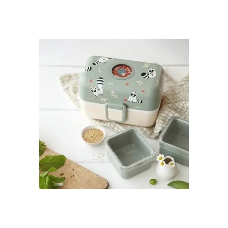 Boite repas MB Trésor Raccoon