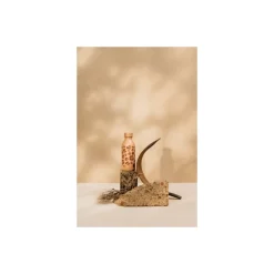 Bouteille isotherme Icon Wild Camel 50 cl
