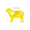 Boyaux de mouton 22/24 AB 15 m