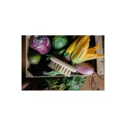 Brosse à légumes 2 duretés