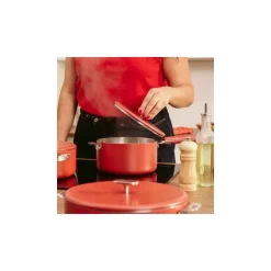 Casserole inox La Merveilleuse rouge passion Ø 20 cm