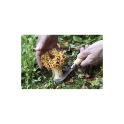 Couteau à champignon Opinel N°8