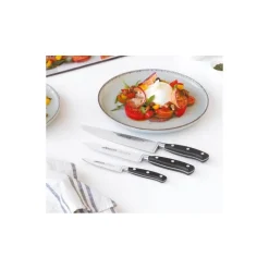 Couteau de chef Riviera 20 cm