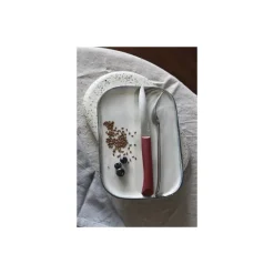 Couteau de table Bon Appétit + grenat
