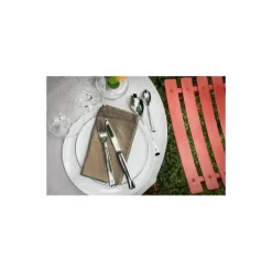 Couteau inox Perpétue Opinel - par 4