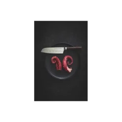 Couteau santoku Les Forgés 17 cm