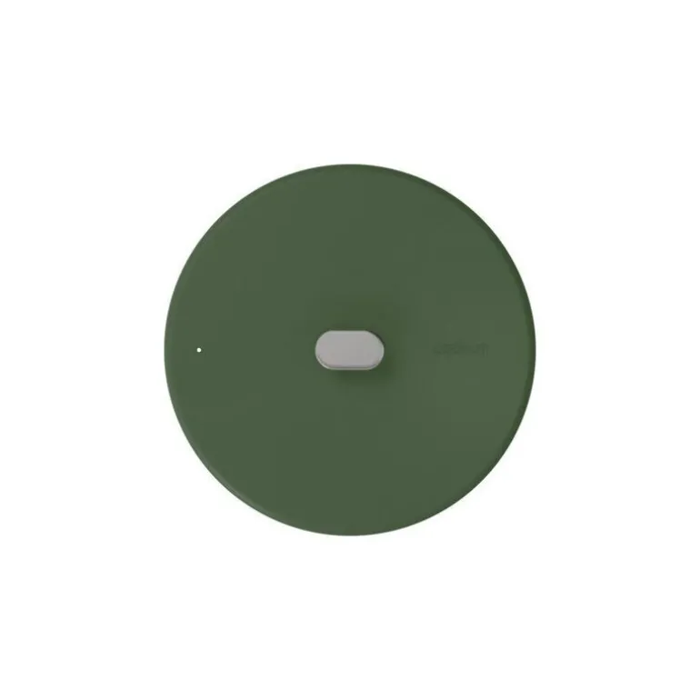 Couvercle inox La Merveilleuse vert fougère Ø 28 cm