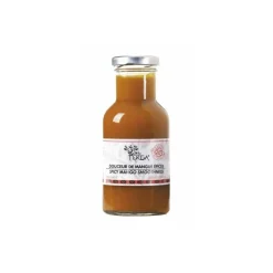 Ketchup gastronomique de mangue épicée 25 cl
