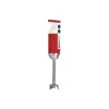 Mixeur mini pro rouge et blanc Dynamic