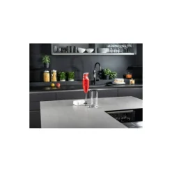 Mixeur plongeant Bamix M200 rouge