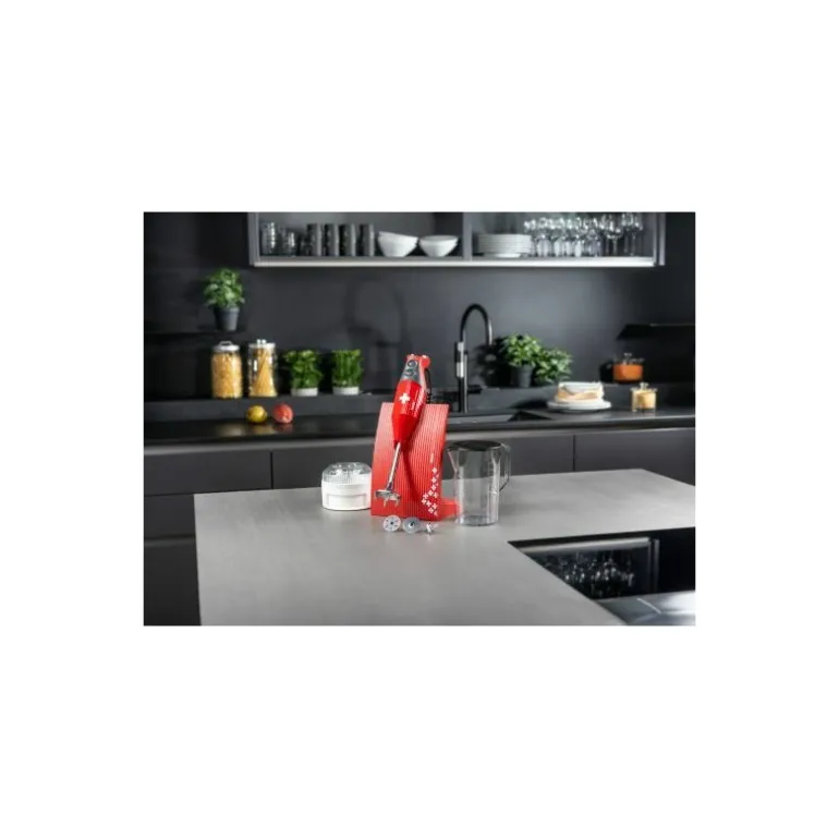 Mixeur plongeant Bamix M200 Swissline rouge