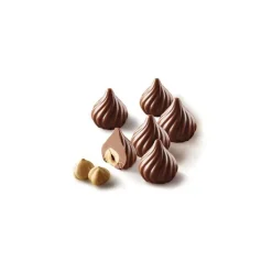 Moule silicone Flamme 15 empreintes