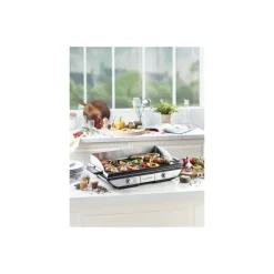Plancha amovible QPL665
