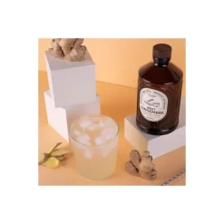 Sirop gingembre brut bio 400 ml