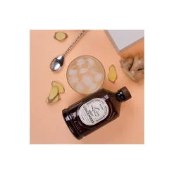 Sirop gingembre brut bio 400 ml