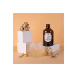 Sirop gingembre brut bio 400 ml