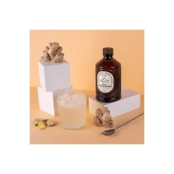 Sirop gingembre brut bio 400 ml