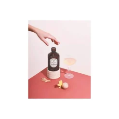 Sirop gingembre brut bio 400 ml