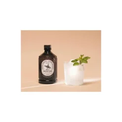 Sirop menthe brut bio 400 ml