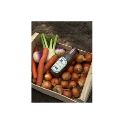 Soupe à l'oignon 475 ml