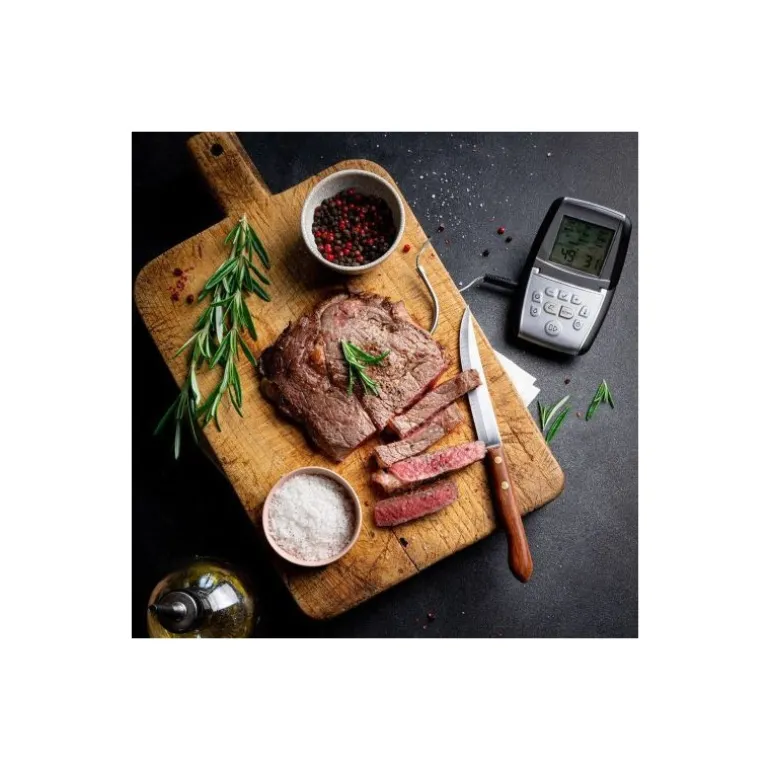 Thermo sonde de cuisson M°Classic+ avec sonde filaire