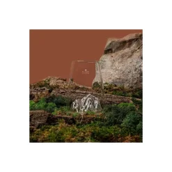 Verre Topographic Mont Blanc 450 ml